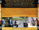 DE SI JOLIS CHEVAUX